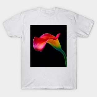 Bold Graphic Red Calla Lily T-Shirt